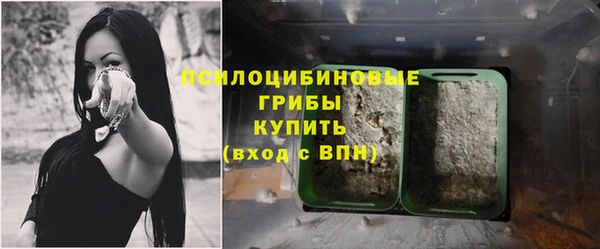 PSILOCYBIN Белоозёрский