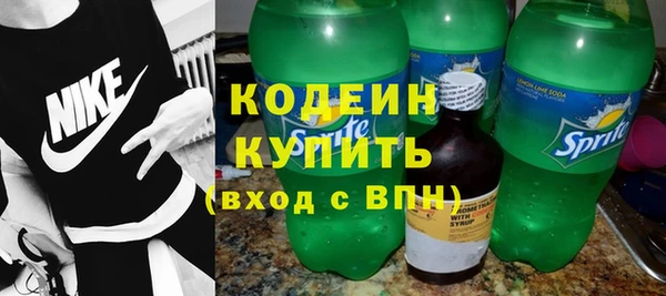 шишки Верхний Тагил