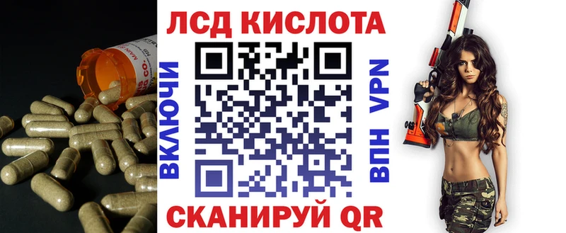 цена наркотик  Каменногорск  кракен онион  Лсд 25 экстази кислота 